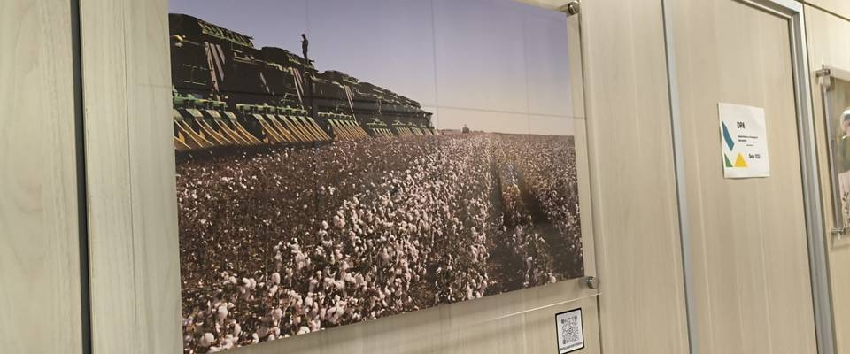 Galeria permanente da SCRI revela o agro brasileiro sob o olhar das mulheres