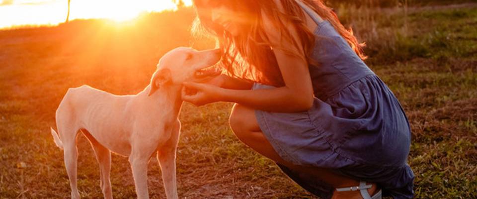 Dica: Fotografia Espontânea: A Beleza dos Momentos Reais