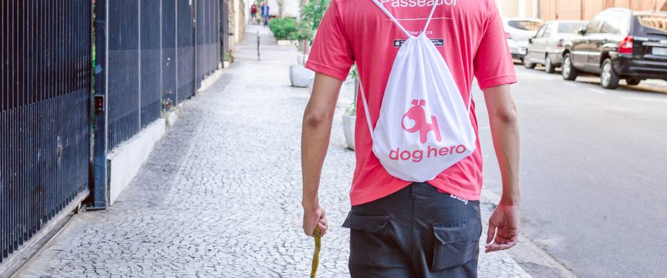 A Importância do Passeio para seu Animal de Estimação