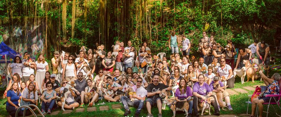 Aurrasta Patas do Beagles RJ 2019