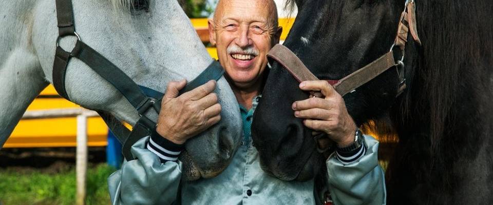3 top programas de TV sobre Pet