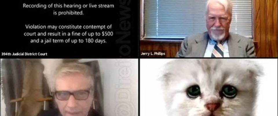 Incidente com filtro do Zoom, advogado aparece como gato em audiência virtual