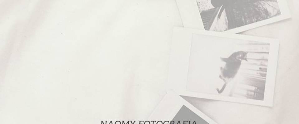 FOTO POLAROID - O QUE É E COMO USAR NA SUA DECORAÇÃO