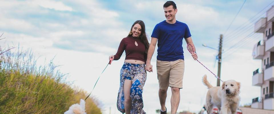 Dicas para um Save the Date animal!