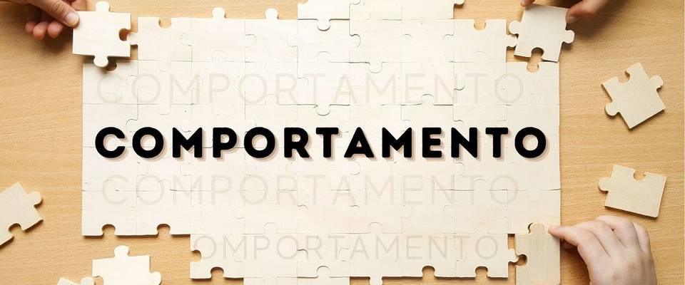 Comportamento 