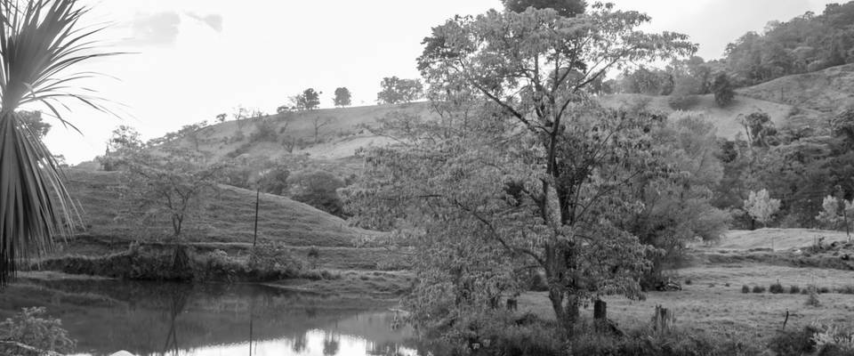 ¿Que opinan del arte fotográfico en blanco y negro?