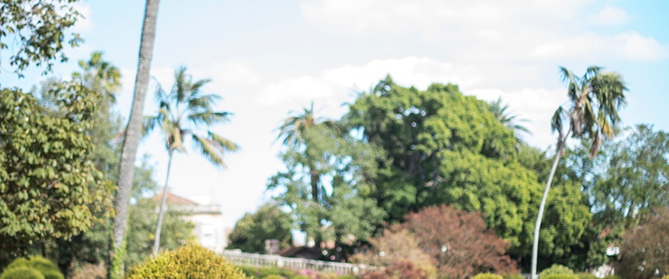 5 dos melhores locais para casar em Portugal