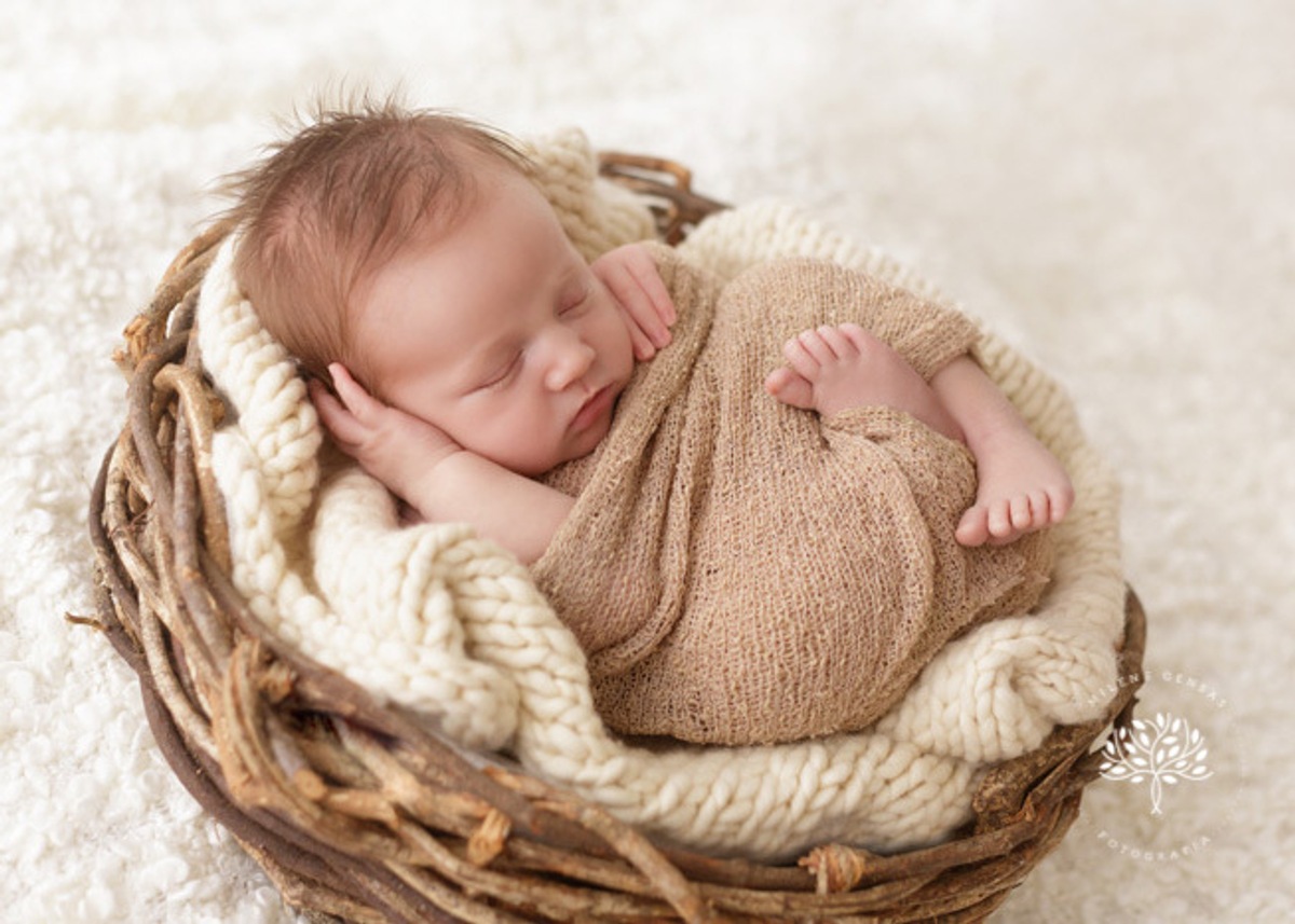 ensaio-newborn-porto alegre-cestinho