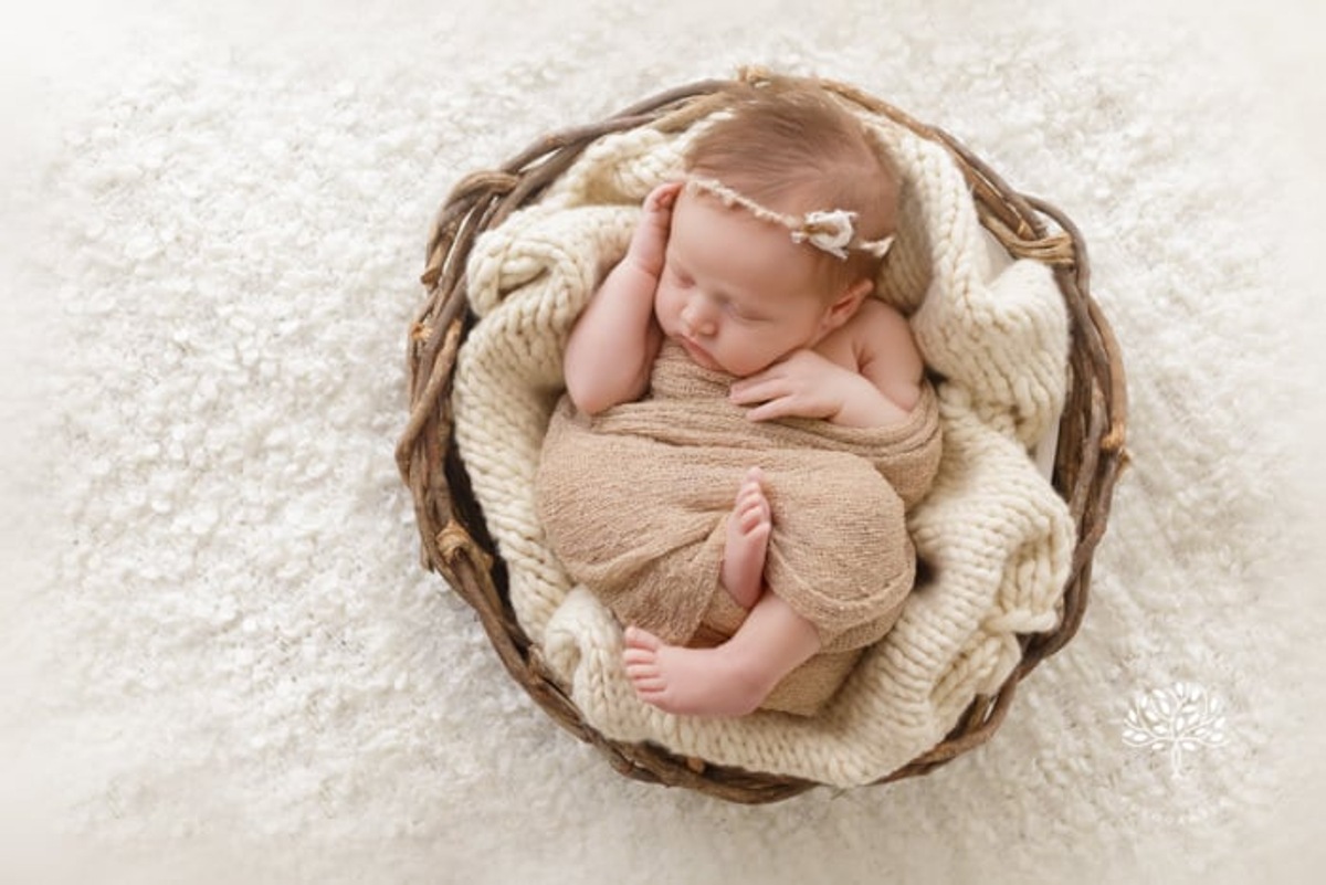 ensaio-newborn-porto alegre-cestinho