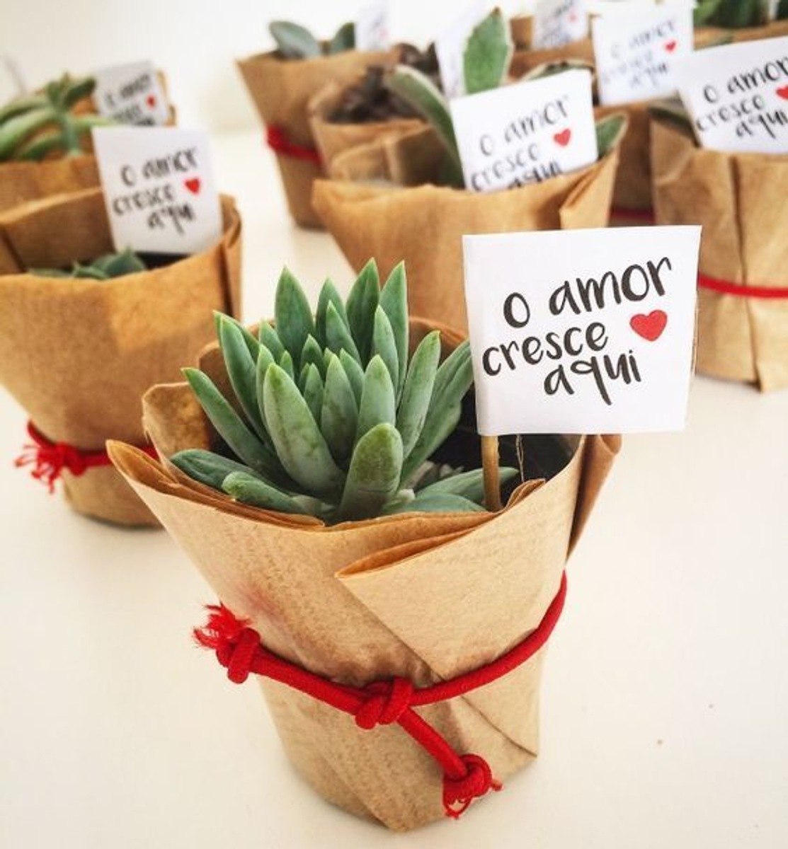 Mini Suculentas como lembrancinhas de casamento. Foto do Pinterest