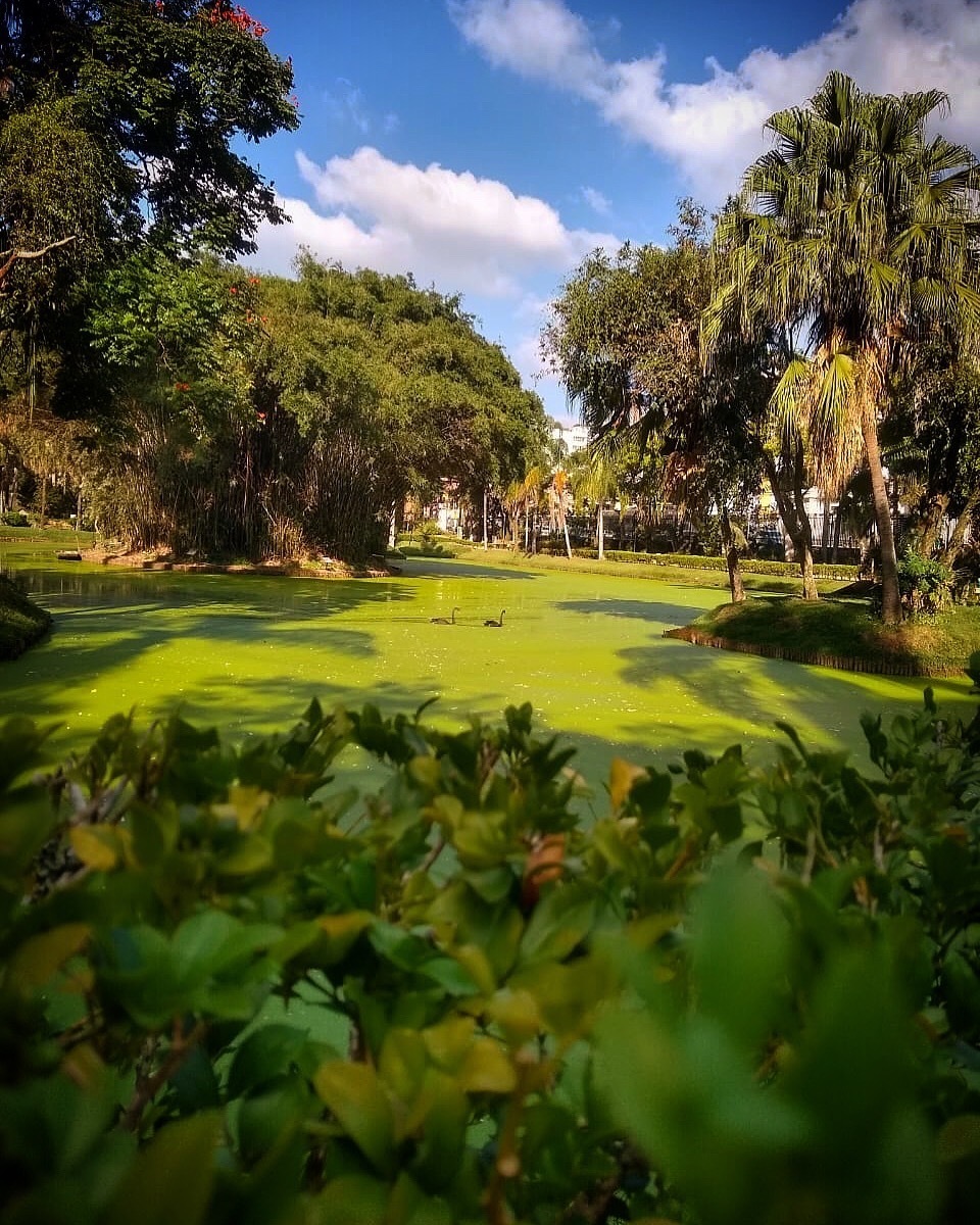 Jardim do Museu Mariano Procópio