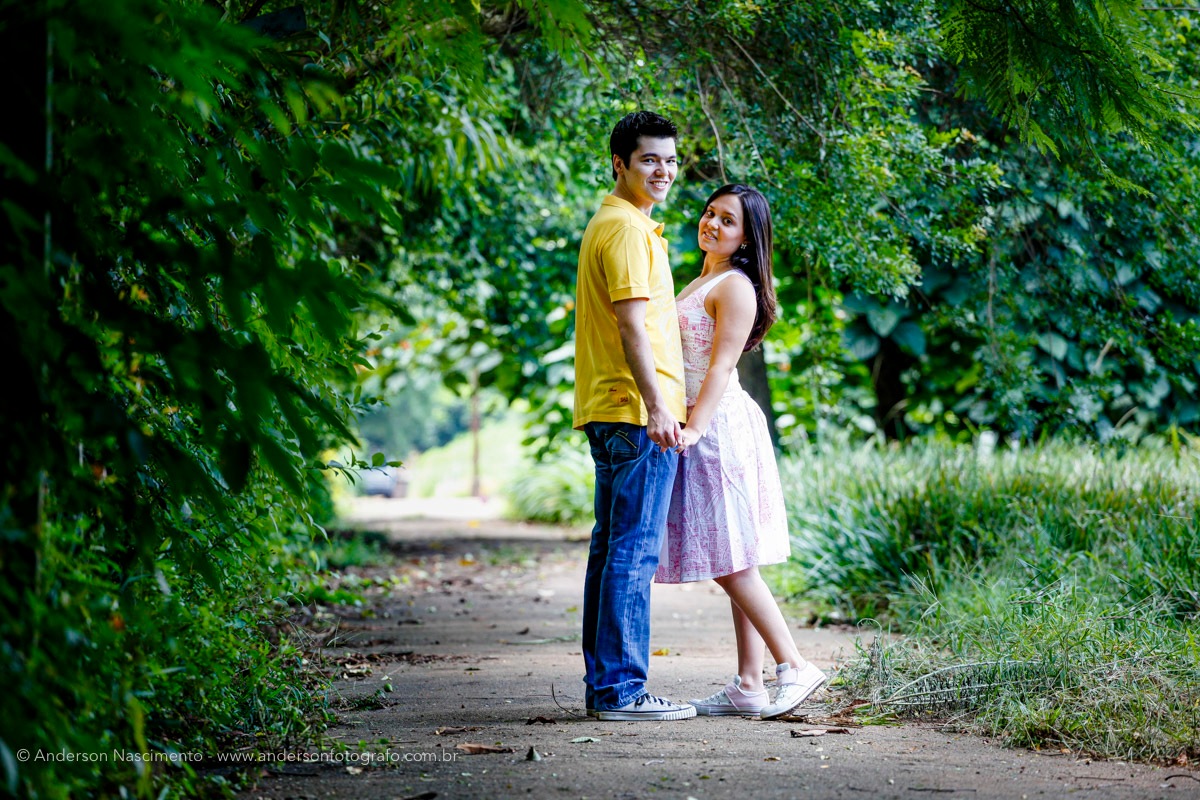 ensaio-pre-weddingo-parque-ibirapuera-sp