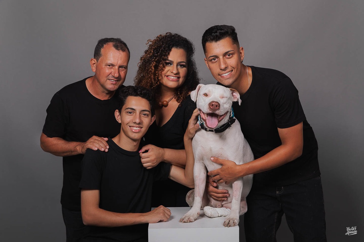 belo horizonte, cachorro, confins, fotografia, fotógrafo, fotógrafo de pet, lei sansão, pedro leopoldo, vespasiano, victor ataide