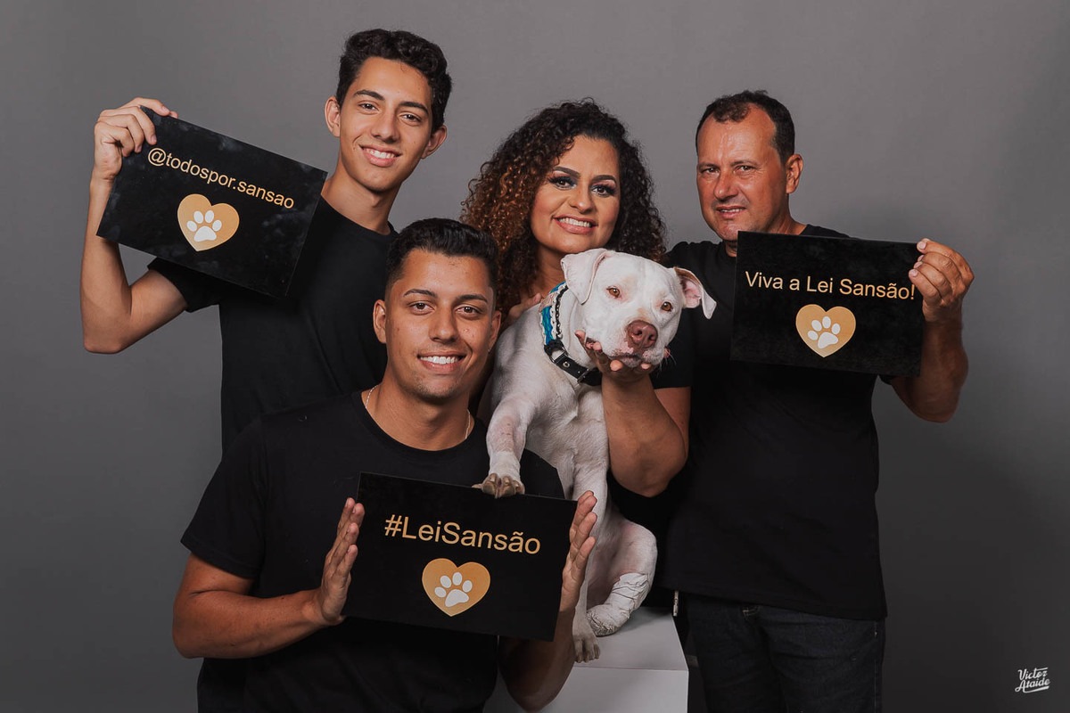 belo horizonte, cachorro, confins, fotografia, fotógrafo, fotógrafo de pet, lei sansão, pedro leopoldo, vespasiano, victor ataide