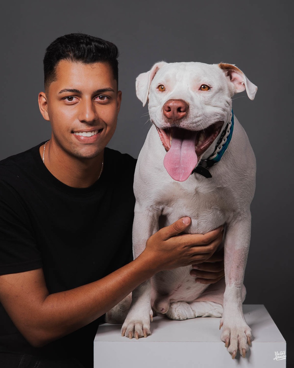 belo horizonte, cachorro, confins, fotografia, fotógrafo, fotógrafo de pet, lei sansão, pedro leopoldo, vespasiano, victor ataide