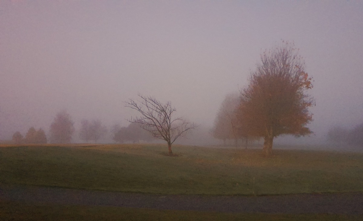 Primeira foto na Irlanda