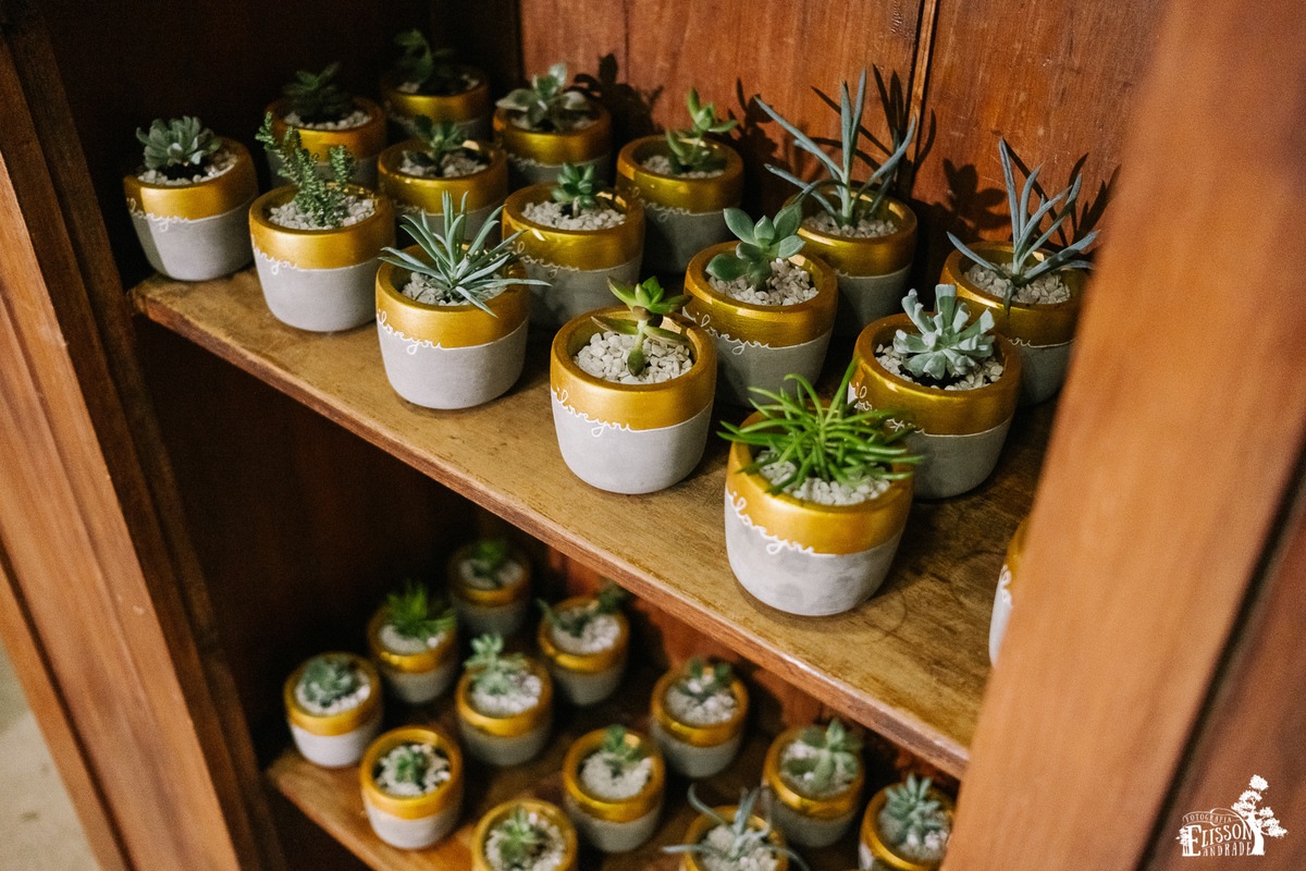 Lembranças para casamento DIY, vazo de cimento com plantinhas verdes e pedras de aquário brancas.
