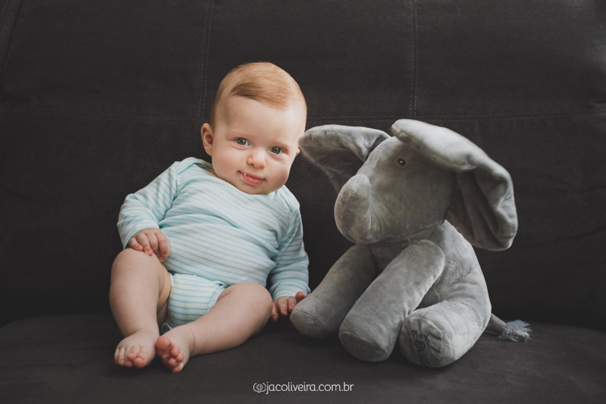 ensaio familia infantil porto alegre fotografo em poa menino e elefante