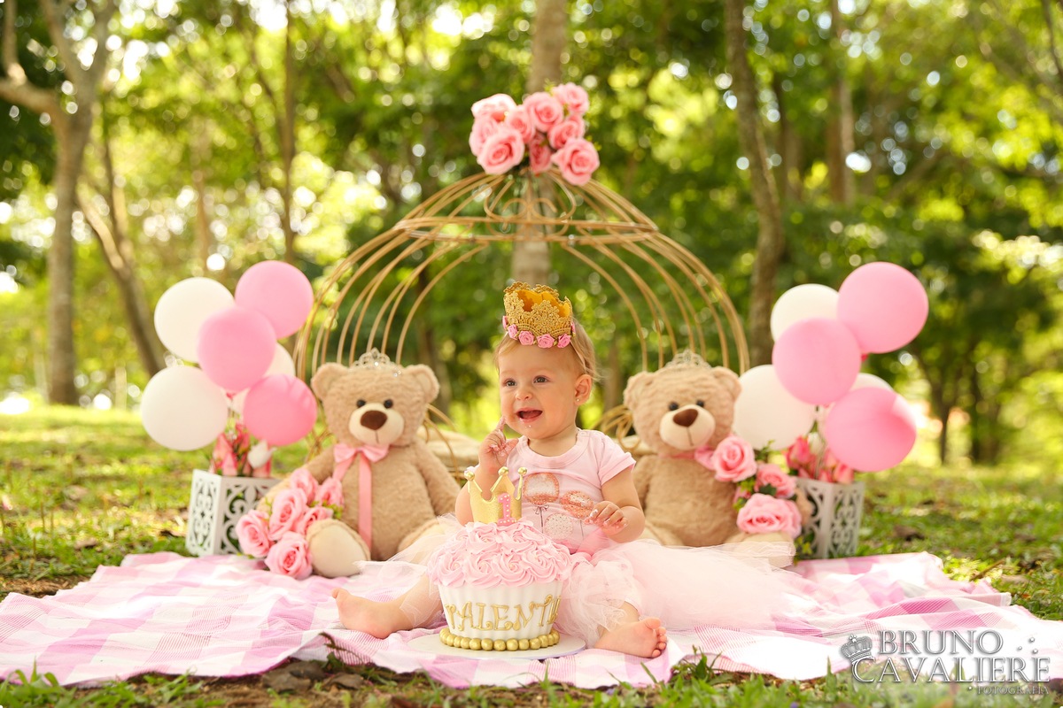 Guia Definitivo Para O Smash The Cake Perfeito