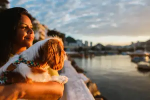 Sobre Lu Veras Fotografia