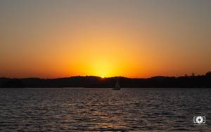 Sobre Fotógrafo / Fotógrafa - Regina Lucia