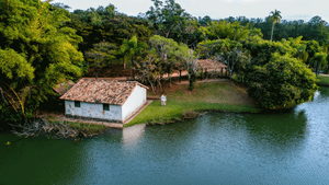 Sobre Toni Donizeti dos santos