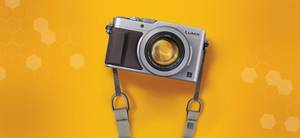 Sobre Paloma Ribeiro Freitas