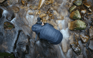 Sobre Moss by Alboom