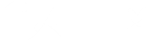 Sobre Cristiane Albuquerque