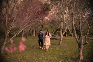 Sobre Aline Do Nascimento Tunala