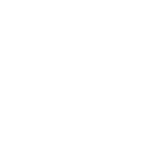 Wellu Fotografia