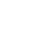 Leonardo Wilson