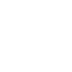 Dhi Vieira