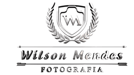 Wilson Soares Mendes