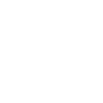 Diana Carla da Cruz Silva