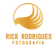 Ricardo pereira de araujo rodrigues 