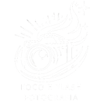 Foco e Flash