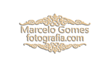 Marcelo Gomes