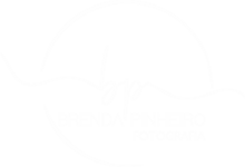 Brenda Pinheiro