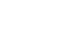 Bem-te-vi Fotografia