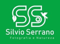 silvio renato serrano vieira