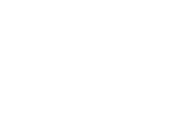 RONALDO LOPES SANCHES JUNIOR