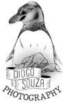 Diogo Souza