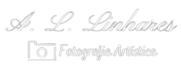 Armando Leonardo Linhares