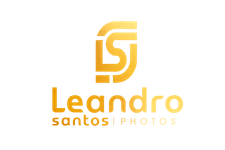 Leandro Silva Santos 