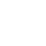 Fabricio Henrique Gonçalves Costa