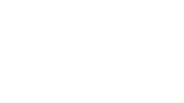 Carolina Belini
