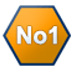 No1AssignmentHelp.Com