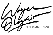 Wagner dos Santos Olegario