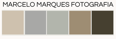 MARCELO MARQUES